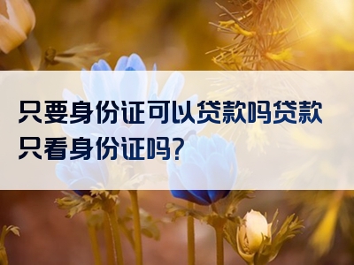 只要身份证可以贷款吗贷款只看身份证吗？