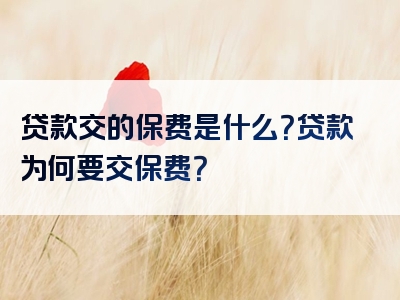 贷款交的保费是什么？贷款为何要交保费？