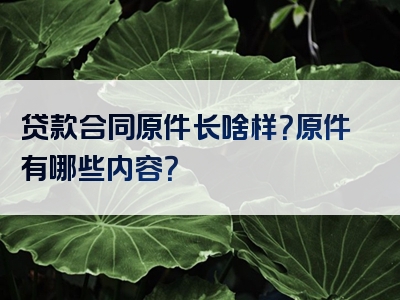 贷款合同原件长啥样？原件有哪些内容？