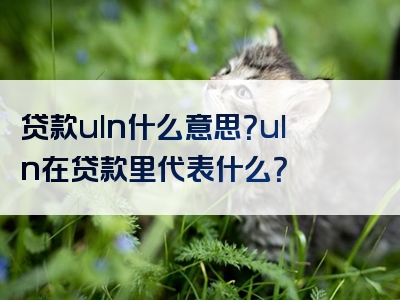 贷款uln什么意思？uln在贷款里代表什么？