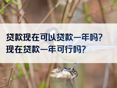 贷款现在可以贷款一年吗？现在贷款一年可行吗？