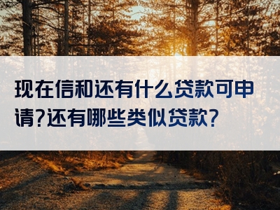 现在信和还有什么贷款可申请？还有哪些类似贷款？