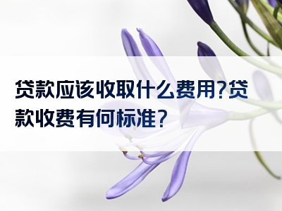 贷款应该收取什么费用？贷款收费有何标准？