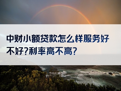 中财小额贷款怎么样服务好不好？利率高不高？