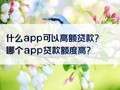 什么app可以高额贷款？哪个app贷款额度高？