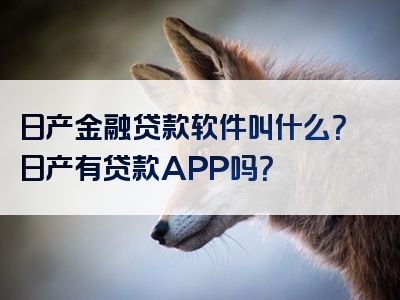 日产金融贷款软件叫什么？日产有贷款APP吗？