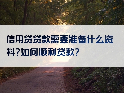 信用贷贷款需要准备什么资料？如何顺利贷款？