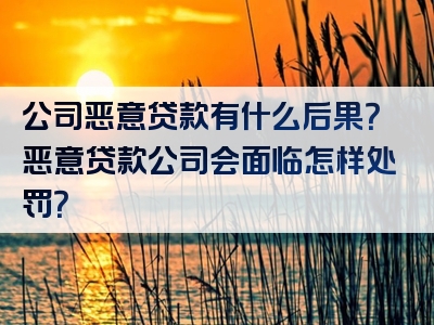 公司恶意贷款有什么后果？恶意贷款公司会面临怎样处罚？