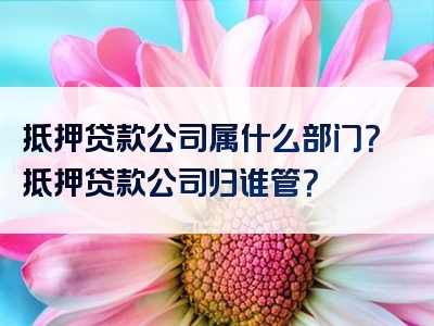 抵押贷款公司属什么部门？抵押贷款公司归谁管？