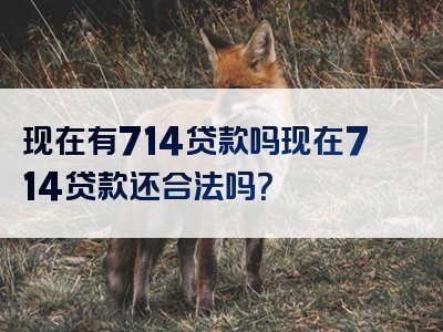 现在有714贷款吗现在714贷款还合法吗？